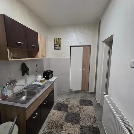 Zen Apartment Zrenjanin